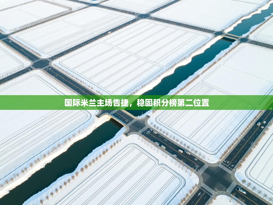 国际米兰主场告捷，稳固积分榜第二位置  第1张