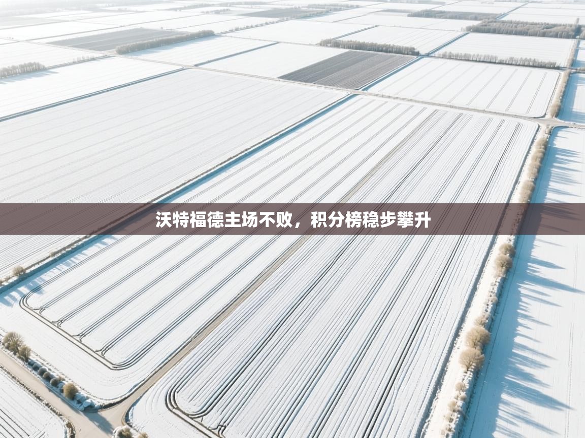 沃特福德主场不败，积分榜稳步攀升